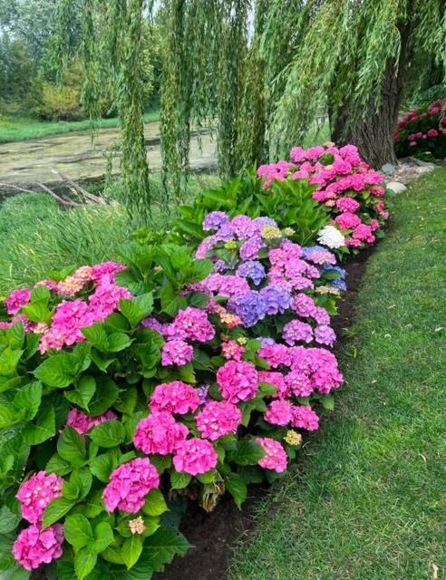 The Hazelhouse Bed and Breakfast Chilliwack Εξωτερικό φωτογραφία